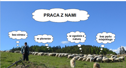 Juhas - baner oferty pracy